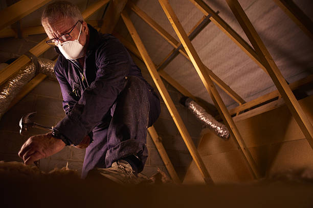 Best Insulation Repair Services  in Big Rapids, MI