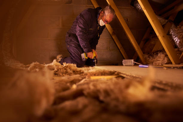 Best Local Insulation Services  in Big Rapids, MI
