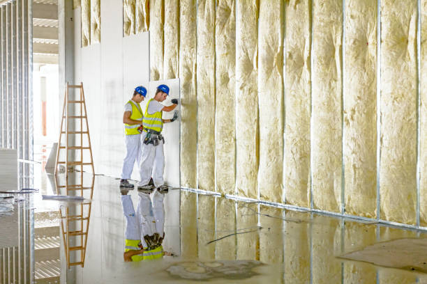 Best Home Insulation Services  in Big Rapids, MI